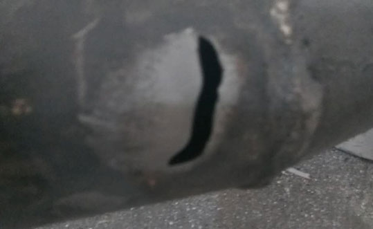 普通香蕉在线播放